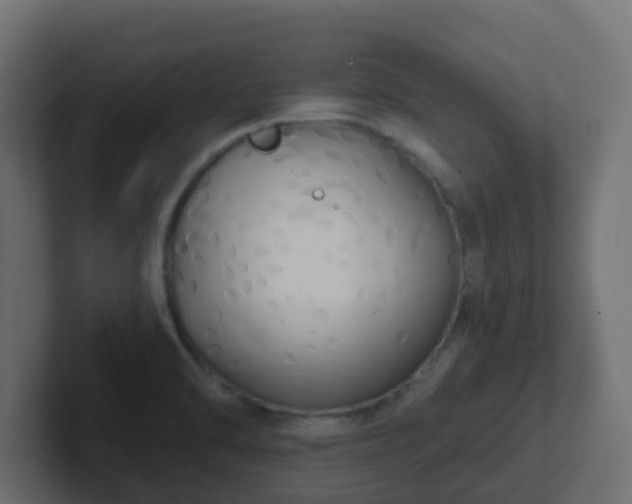 X0000102811470200808251059