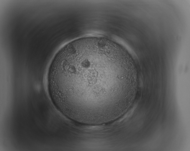 X0000102811471200808251059