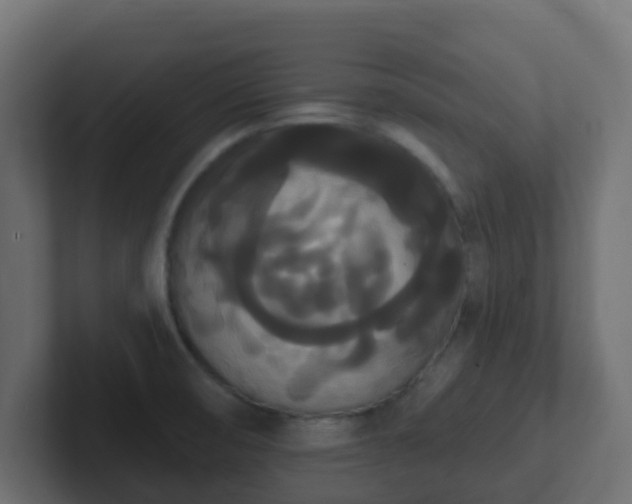 X0000102811474200808251059