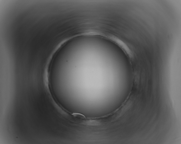 X0000102811476200808251059