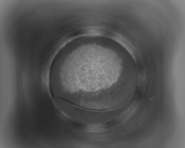 X0000102811477200808251059