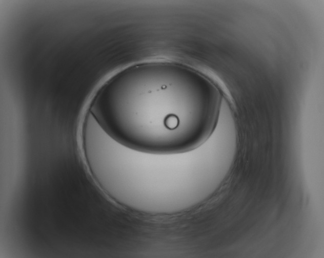 X0000102811480200808251059