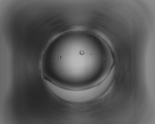 X0000102811481200808251059