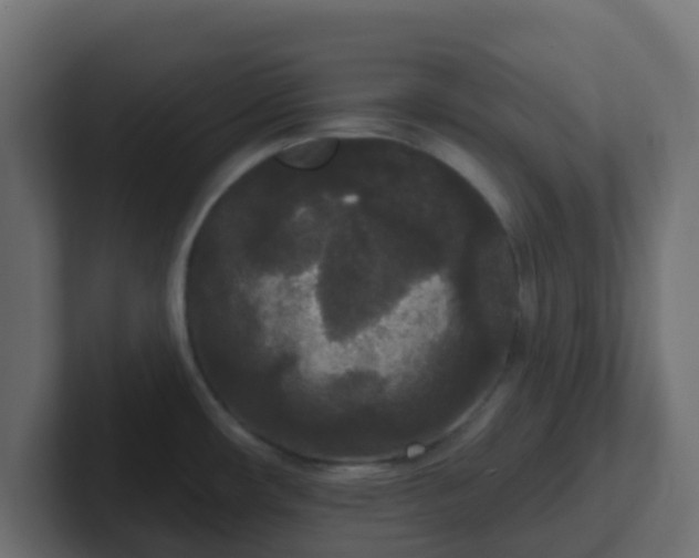 X0000102811482200808251059