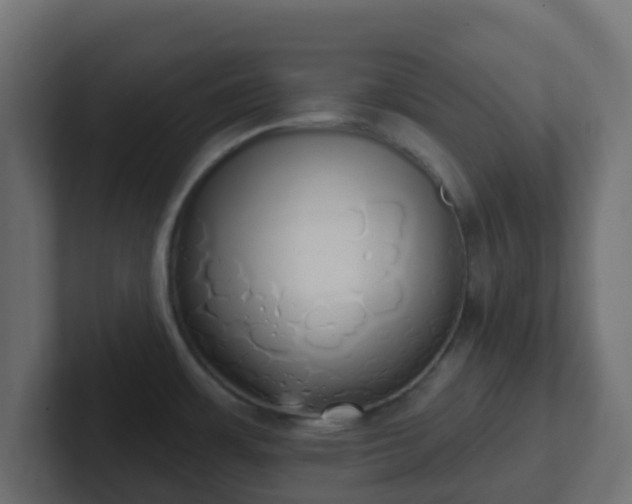 X0000102811483200808251059