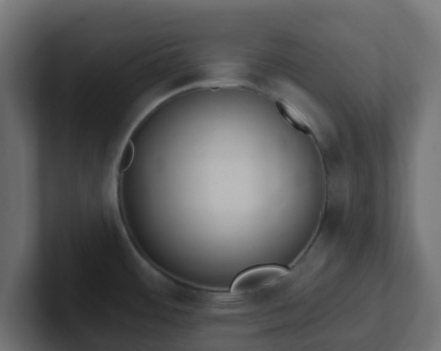 X0000102811484200808251059