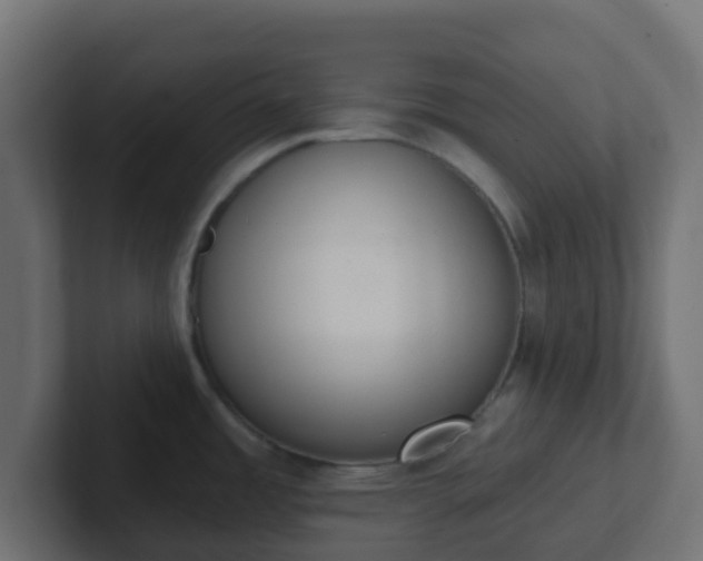 X0000102811485200808251059