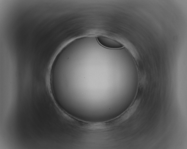 X0000102811486200808251059