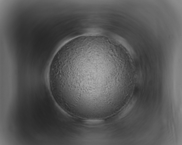 X0000102811487200808251059