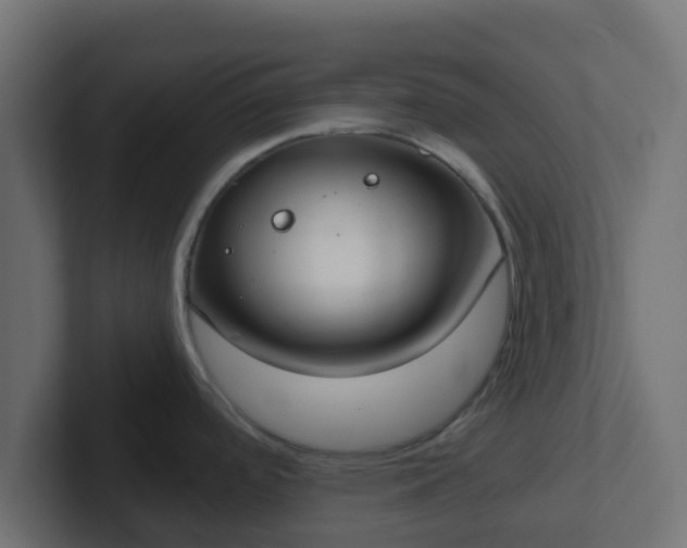 X0000102811488200808251059