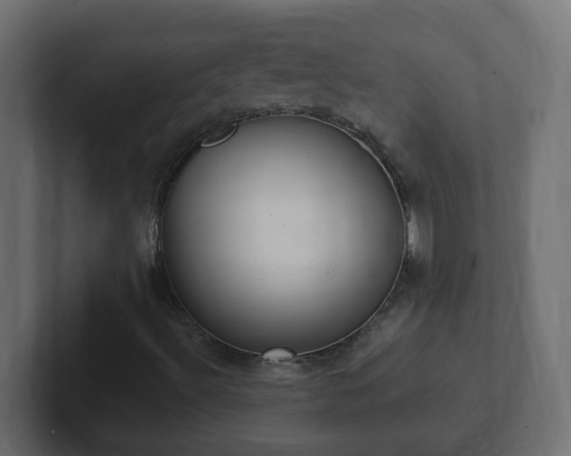 X0000102811492200808251058