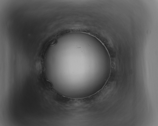 X0000102811493200808251058