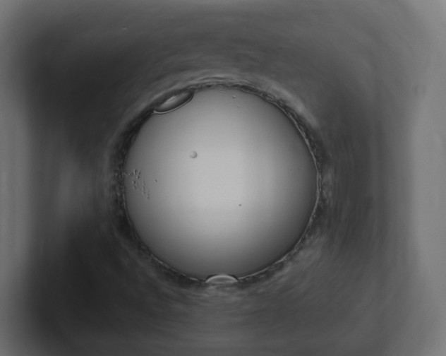 X0000102811496200808251058