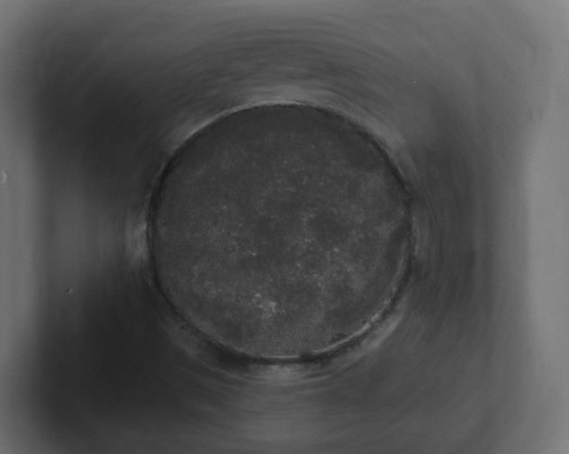 X0000102811497200808251058