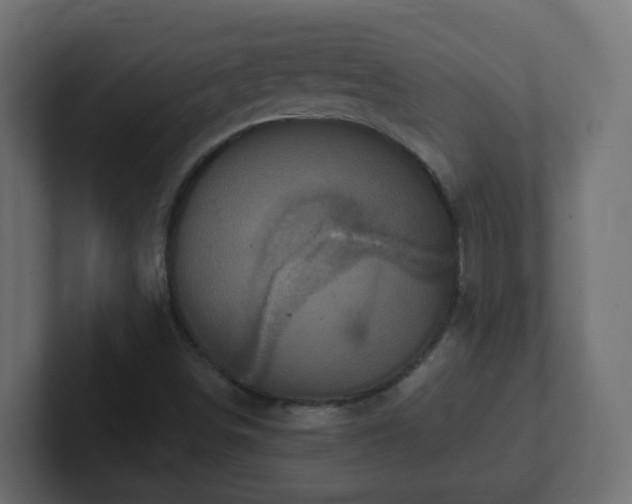 X0000102811498200808251058