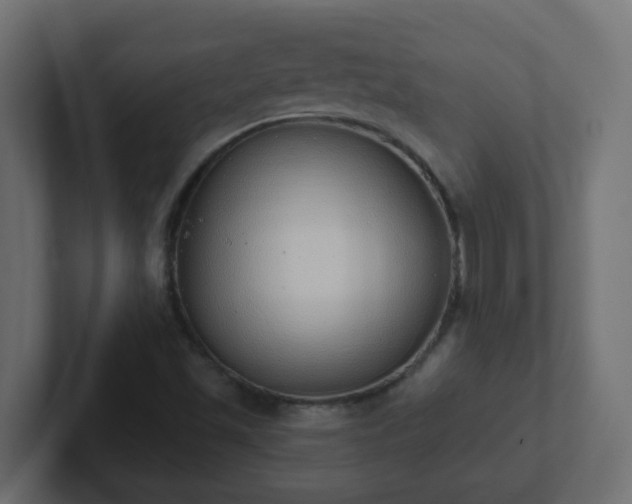 X0000102811501200808251058