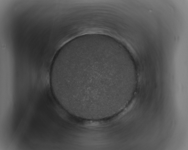 X0000102811505200808251058