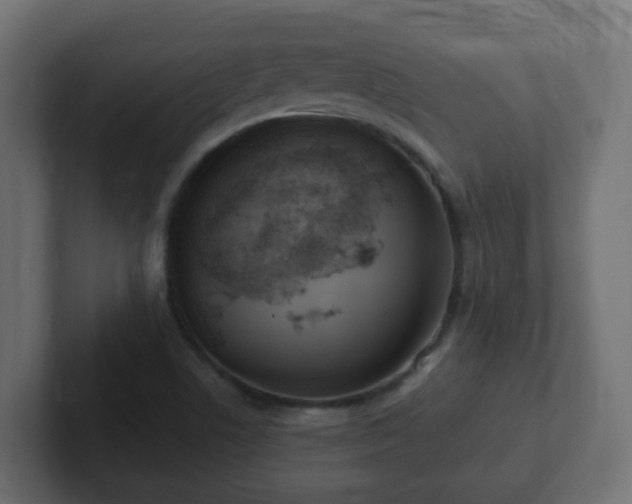 X0000102811506200808251058