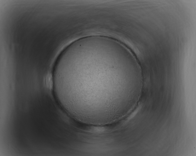 X0000102811509200808251058