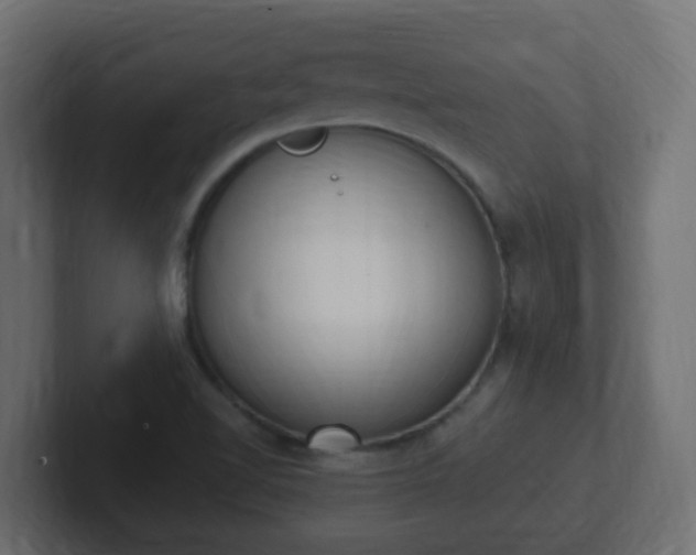 X0000102811510200808251058