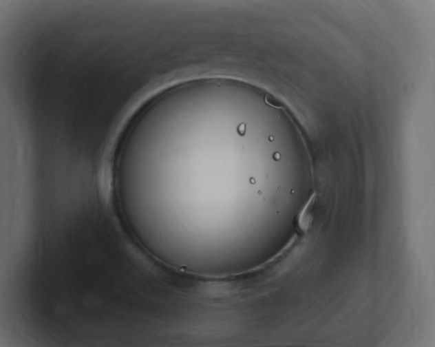 X0000102811511200808251058