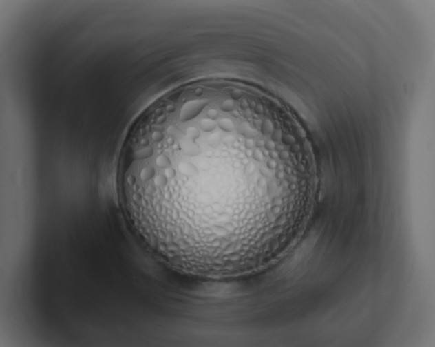 X0000102811513200808251058