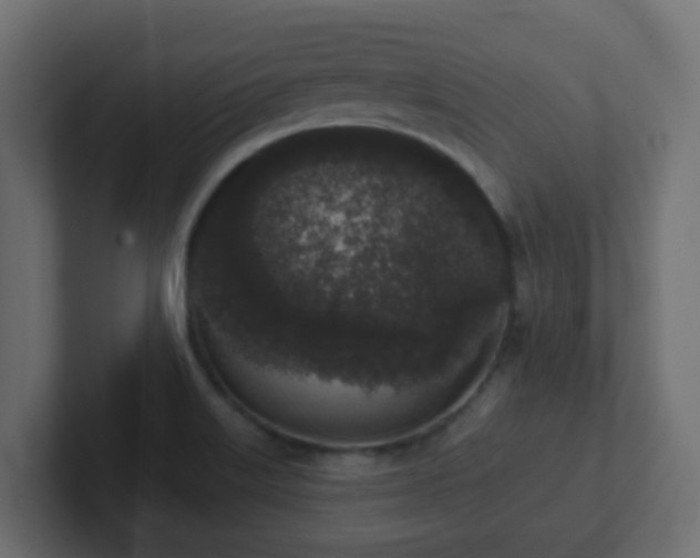 X0000102811515200808251058