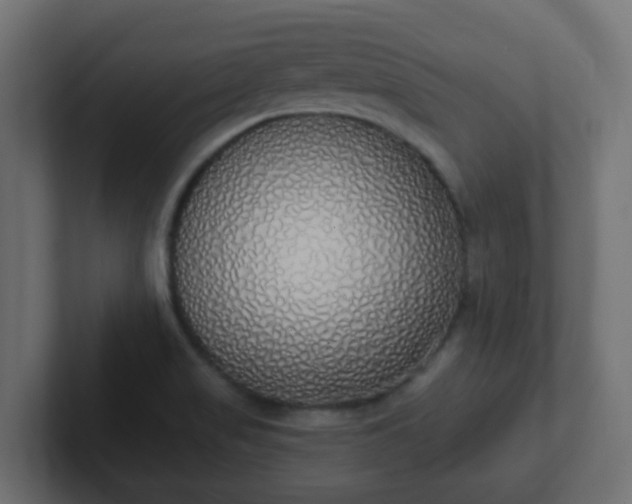 X0000102811517200808251058