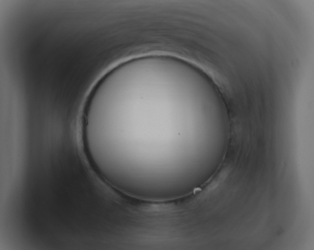 X0000102811518200808251059