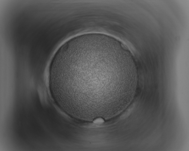 X0000102811519200808251059