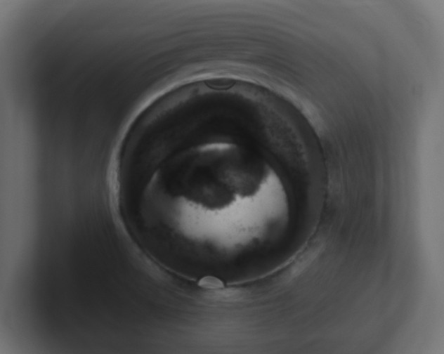 X0000102811522200808251059