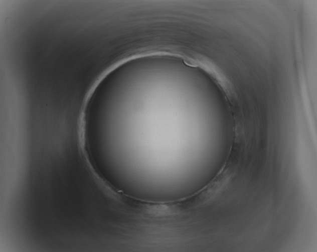 X0000102811524200808251059