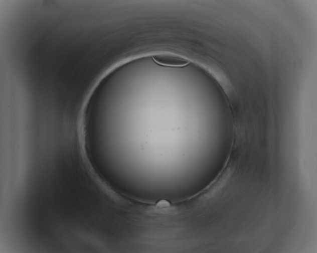 X0000102811526200808251059