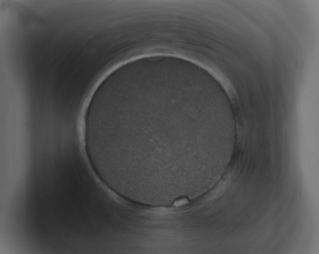 X0000102811527200808251059