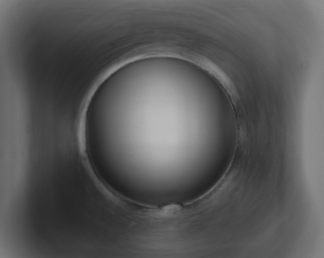 X0000102811528200808251059