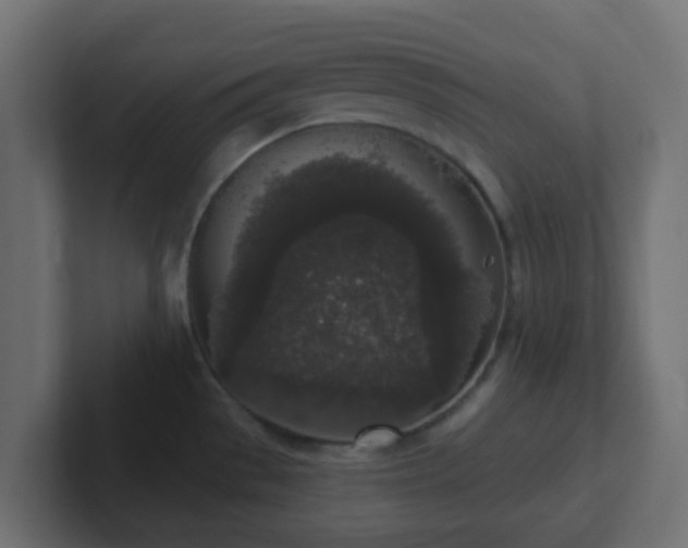 X0000102811529200808251059