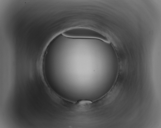 X0000102811530200808251059