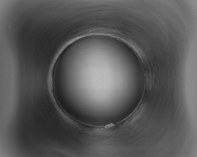 X0000102811531200808251059