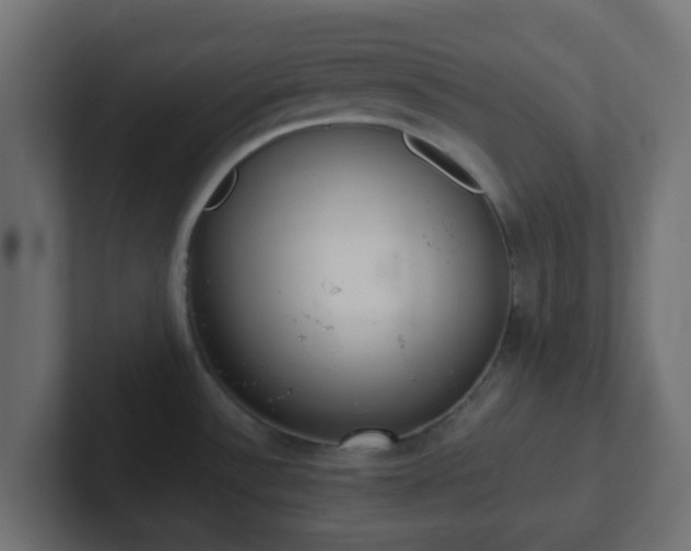 X0000102811532200808251059