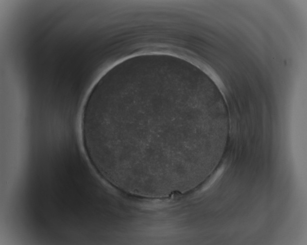 X0000102811533200808251059