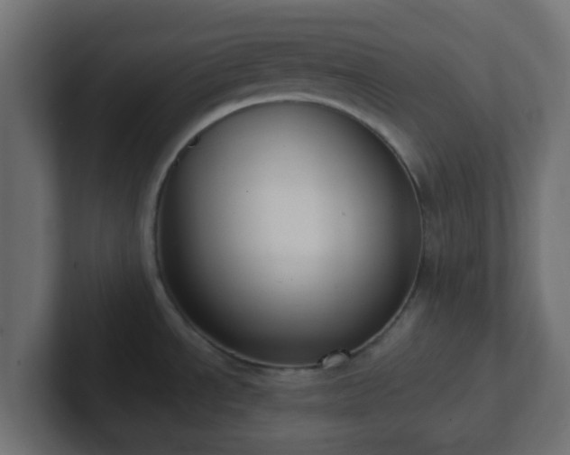 X0000102811534200808251059