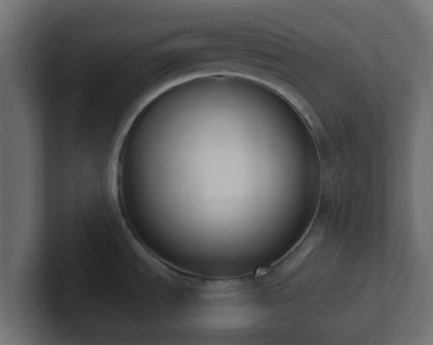 X0000102811535200808251059