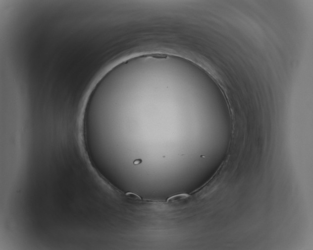 X0000102811536200808251059