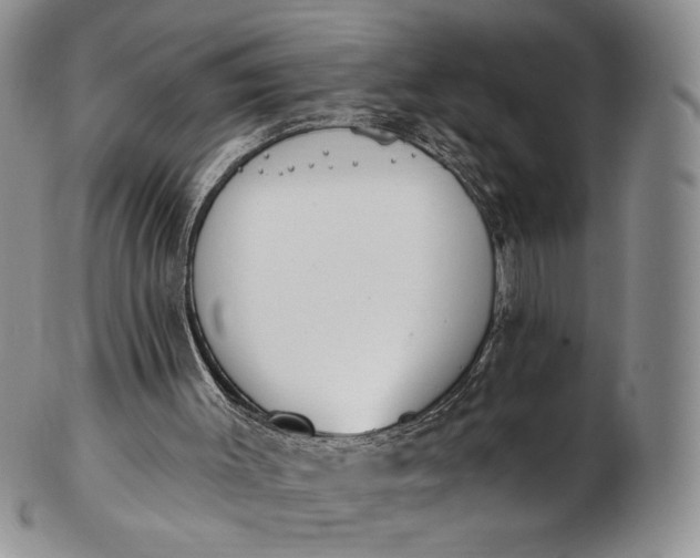 X0000102810003200809021209