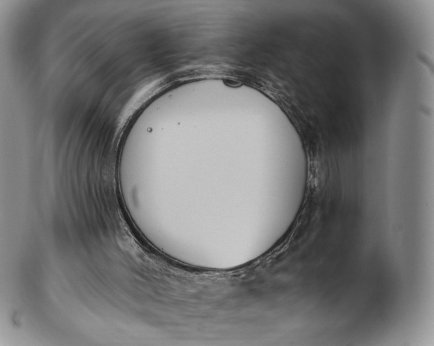 X0000102810004200809021209