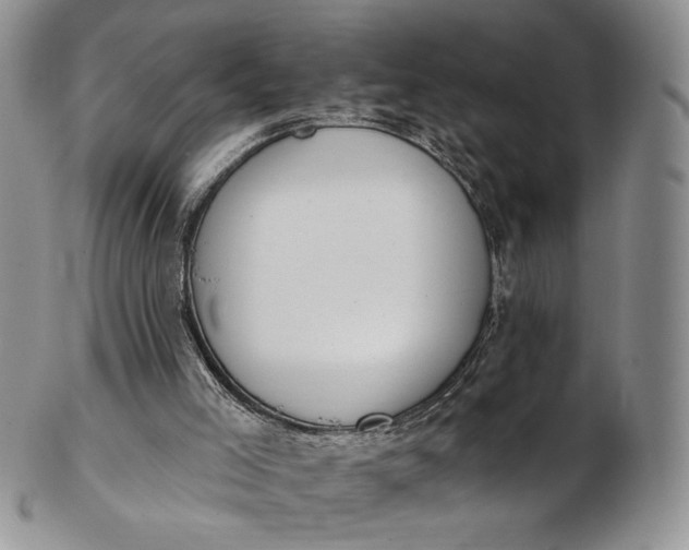 X0000102810005200809021209