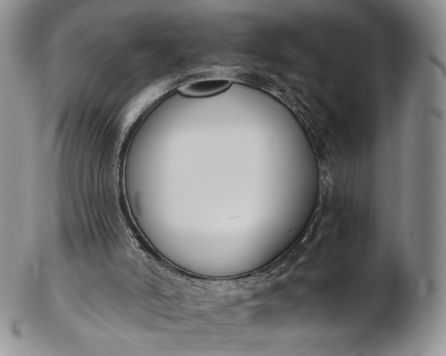 X0000102810006200809021209