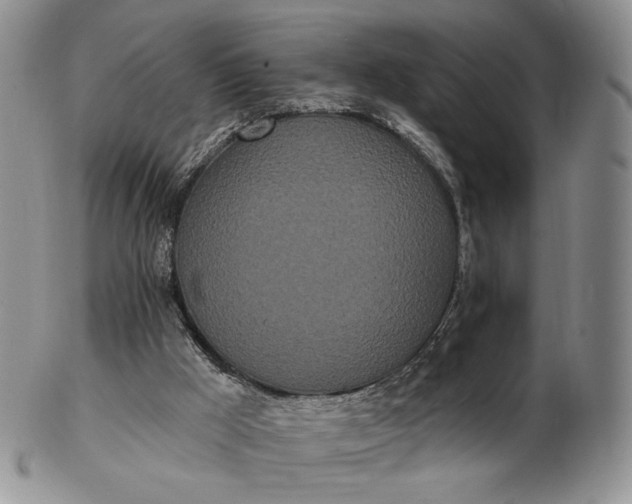 X0000102810009200809021209