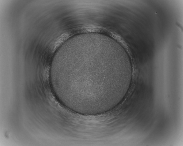 X0000102810010200809021209