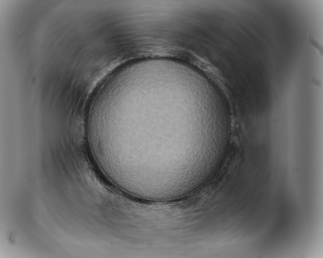 X0000102810012200809021209